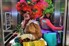 The Panto
