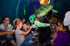 Plastic-ocean-turtle