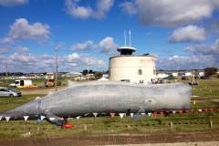 The Whale