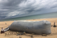 The Whale