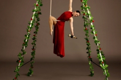 Valentine Aerial Bartending