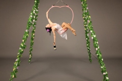 Valentine Aerial Bartending