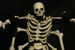 Voo Boo