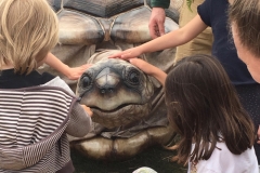 What the Tortoise Taught Us