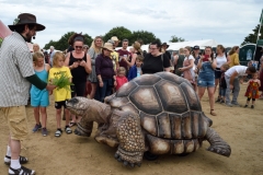 What the Tortoise Taught Us - photo Lindsey Harris