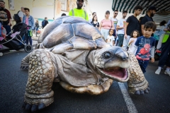 What the Tortoise Taught Us Photo: Justin Thomas