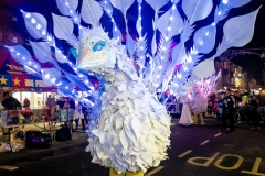 Winter Wonderland Birds