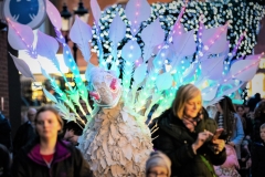 Winter Wonderland Birds