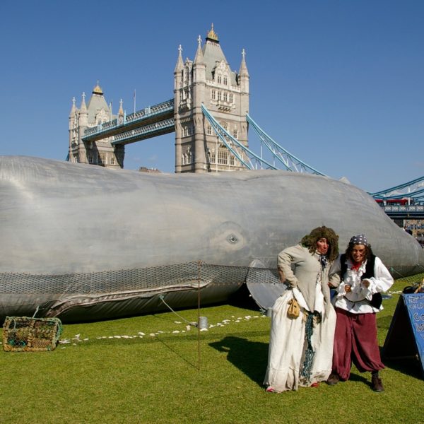 The Whale - Storytelling street theatre inside a 50ft sperm whale