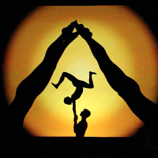 Bespoke Shadow Shows - Tailor made live shadow shows