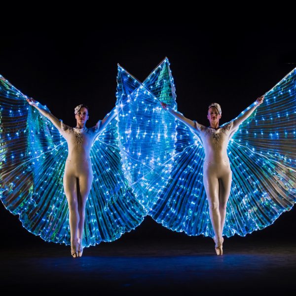 Lite Ballerinas - Stunning LED lit costumed ballet dancers