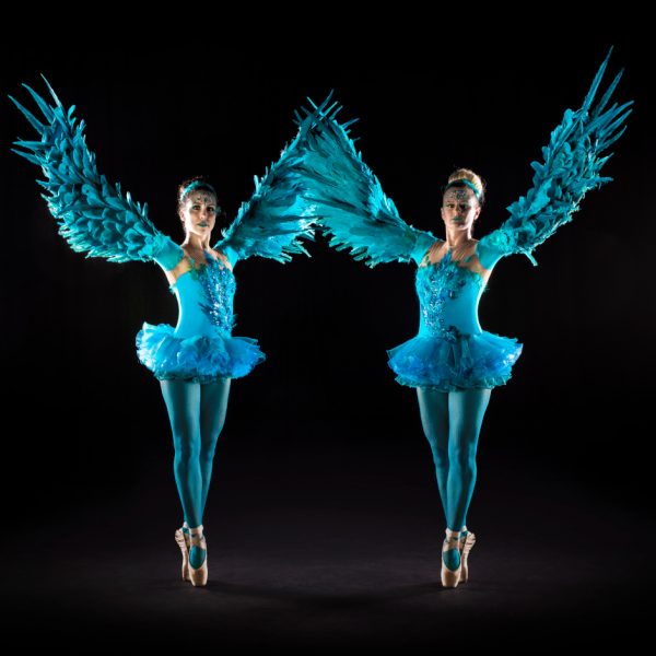 Winged Ballerinas - Beautiful Swan Lake inspired ballerinas